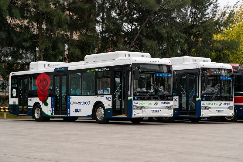 LINEA 109